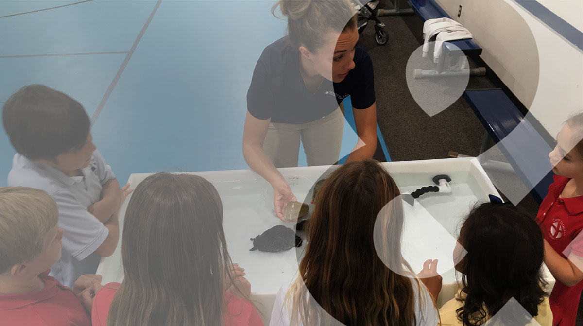 Student teaching kids about ocean animals
